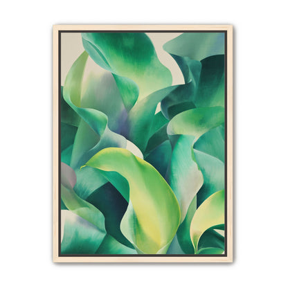 Calla lilies crowd the light