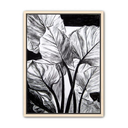 Overlapping Leaves on Dark Ground