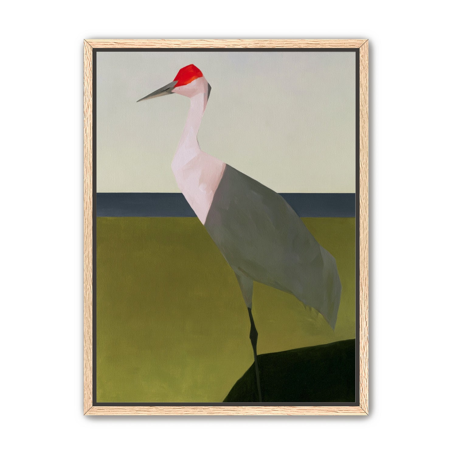 Red crown crane at the shore