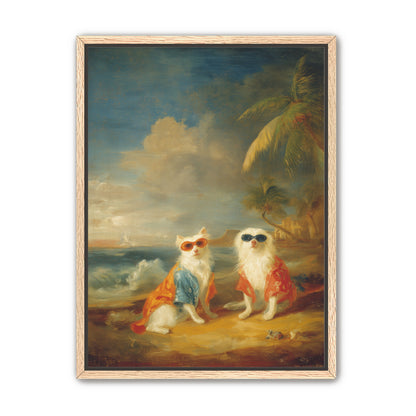 Sunglasses cats on the beach