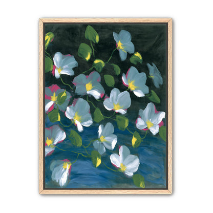 Pale blooms on black