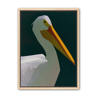 White pelican in deep green