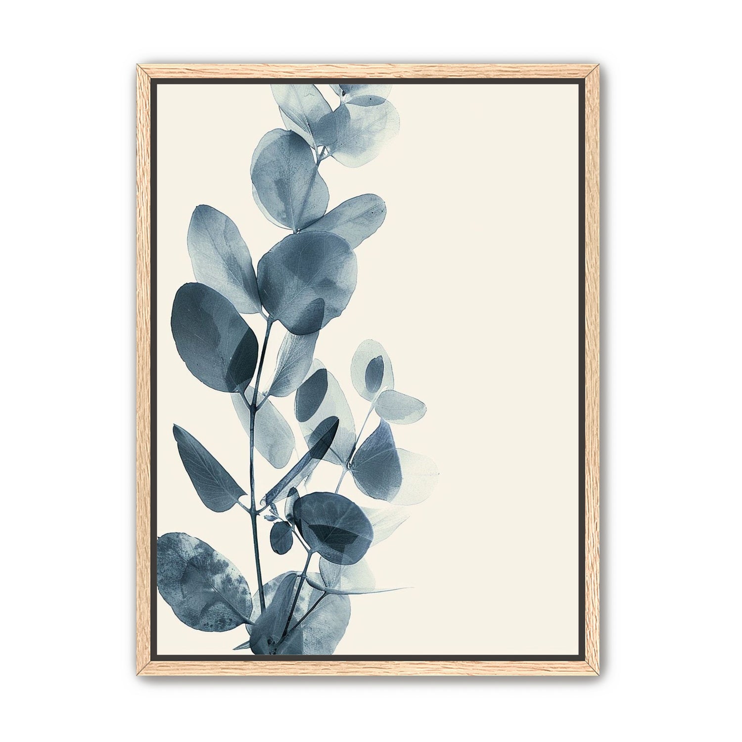 Eucalyptus in quiet blue