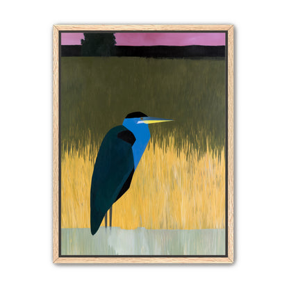 Blue bird in yellow grass