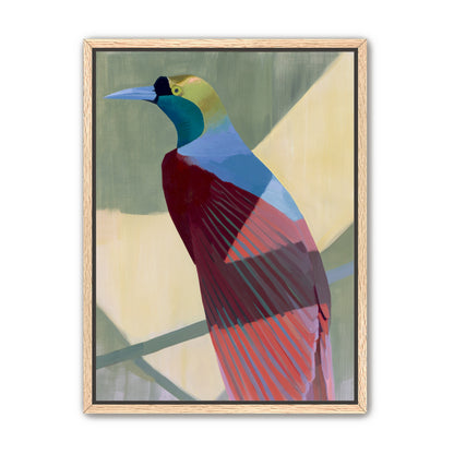 Teal throat on maroon wing