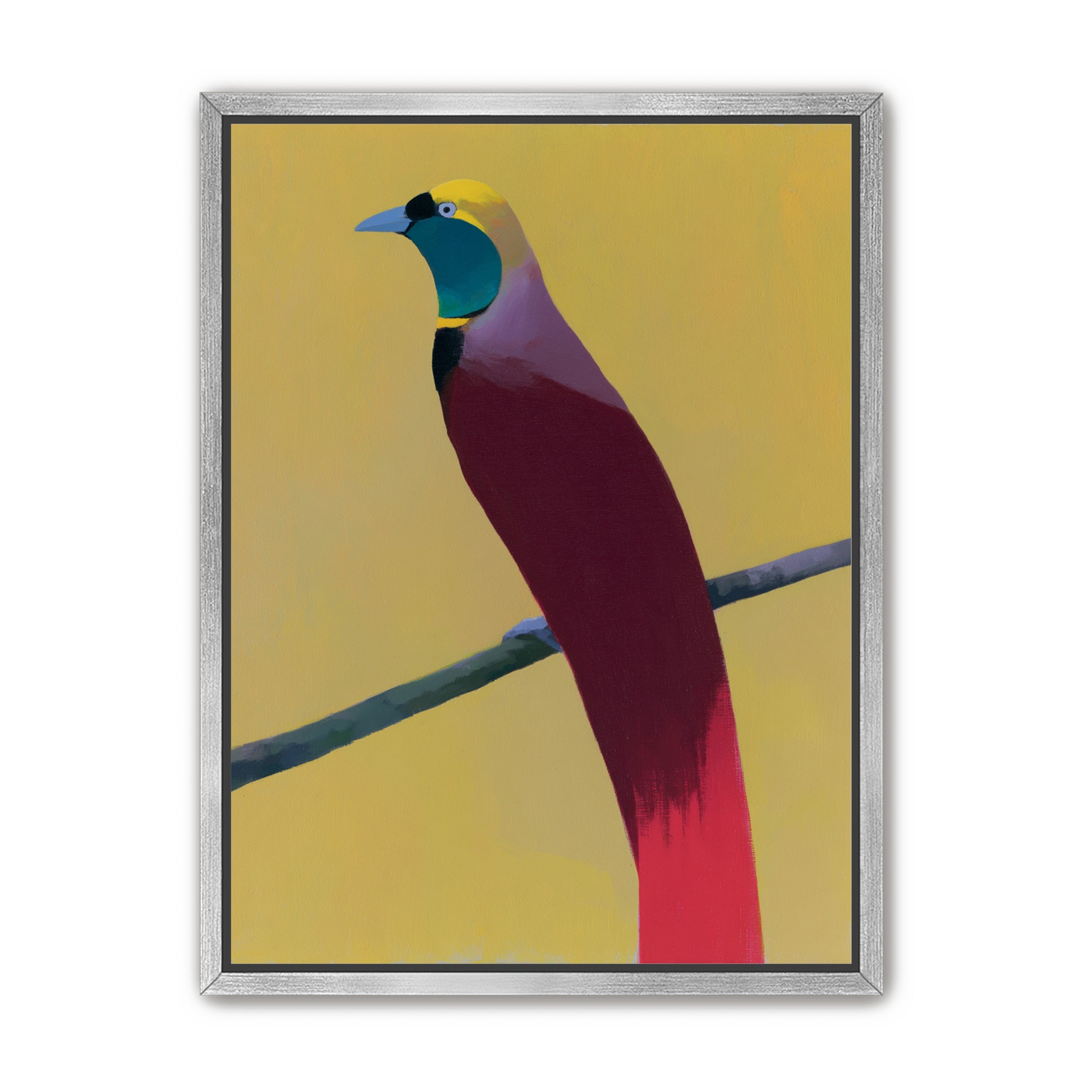 A bright bird on yellow