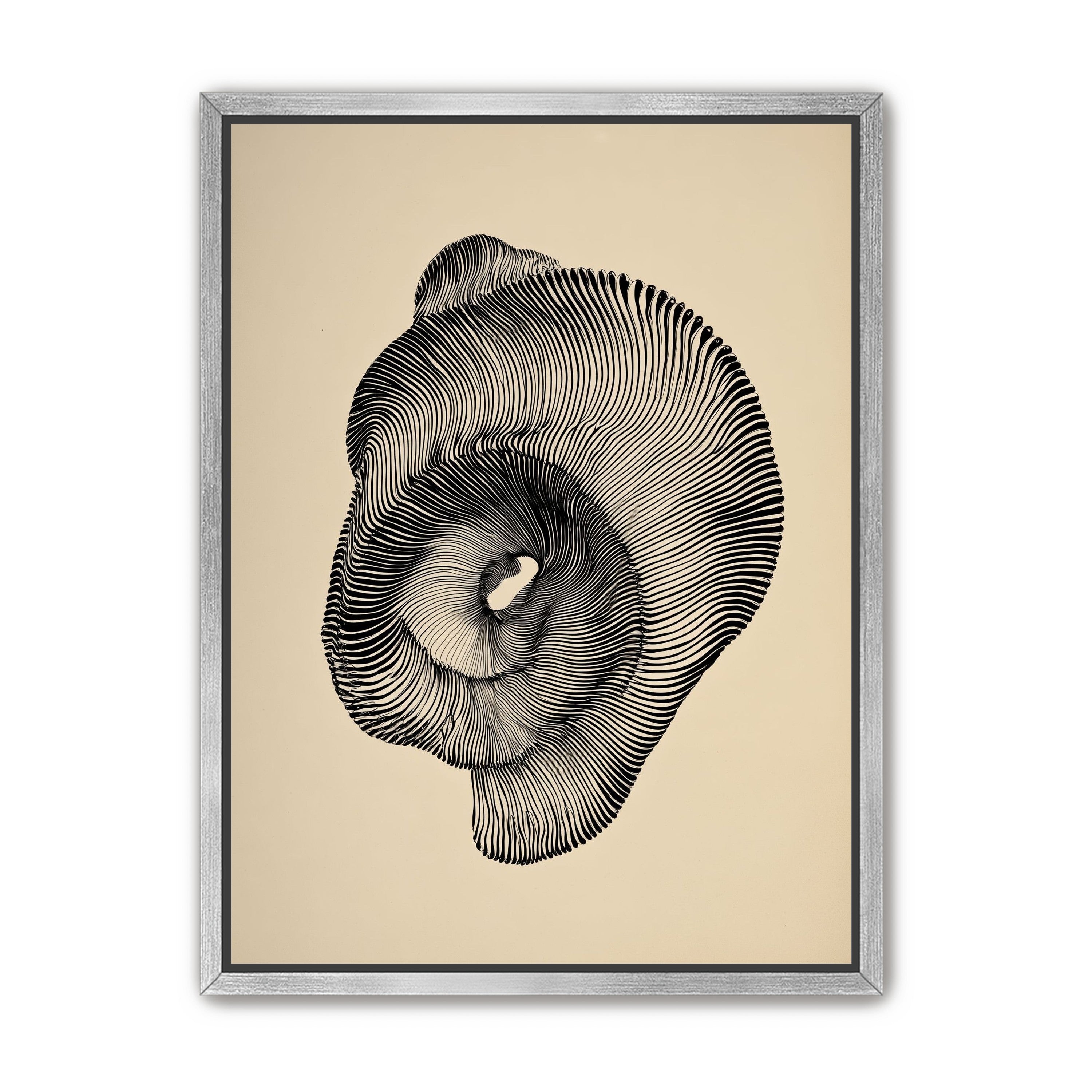 A hollow within black lines
