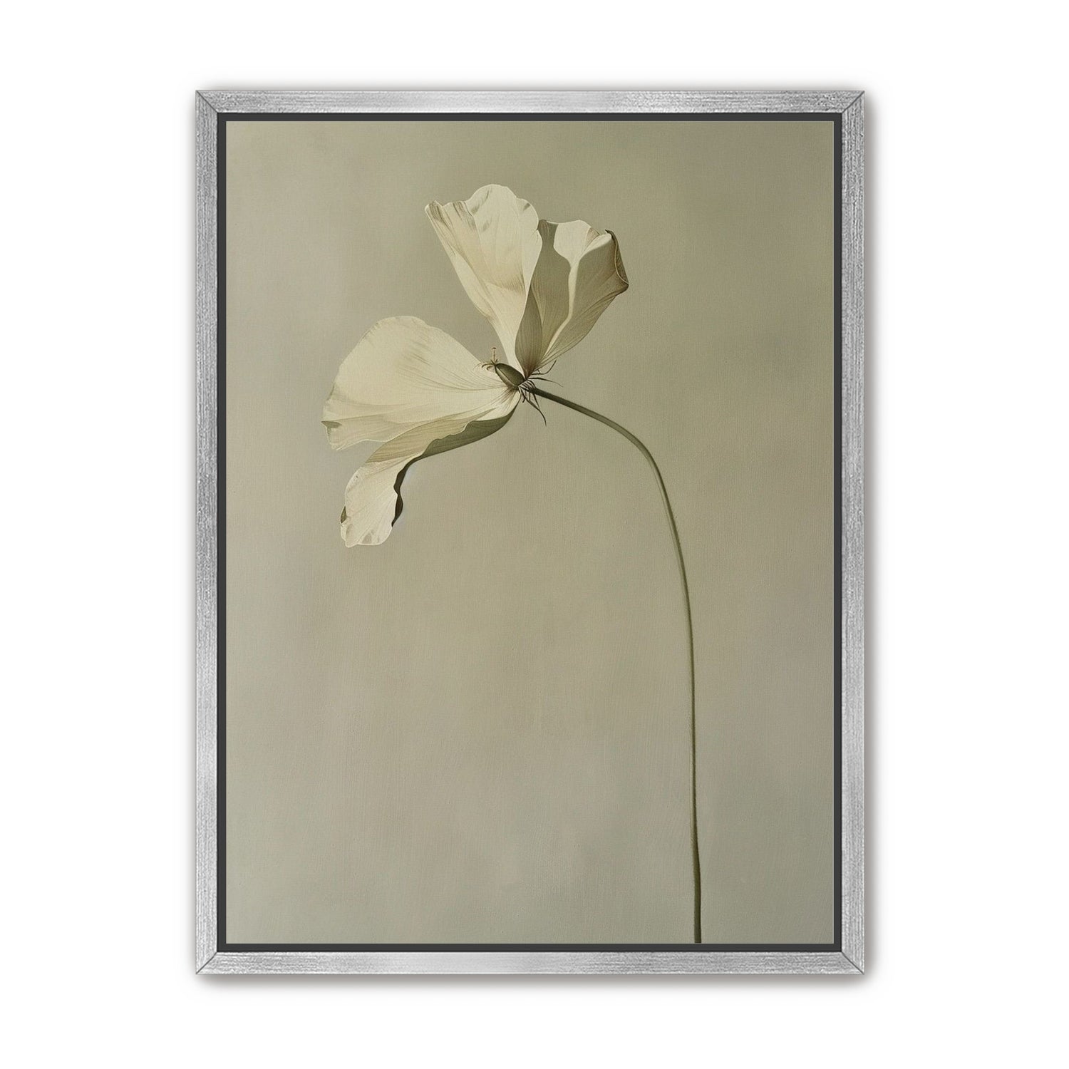 Cream petals in gray green air