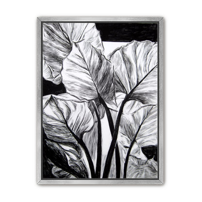 Overlapping Leaves on Dark Ground
