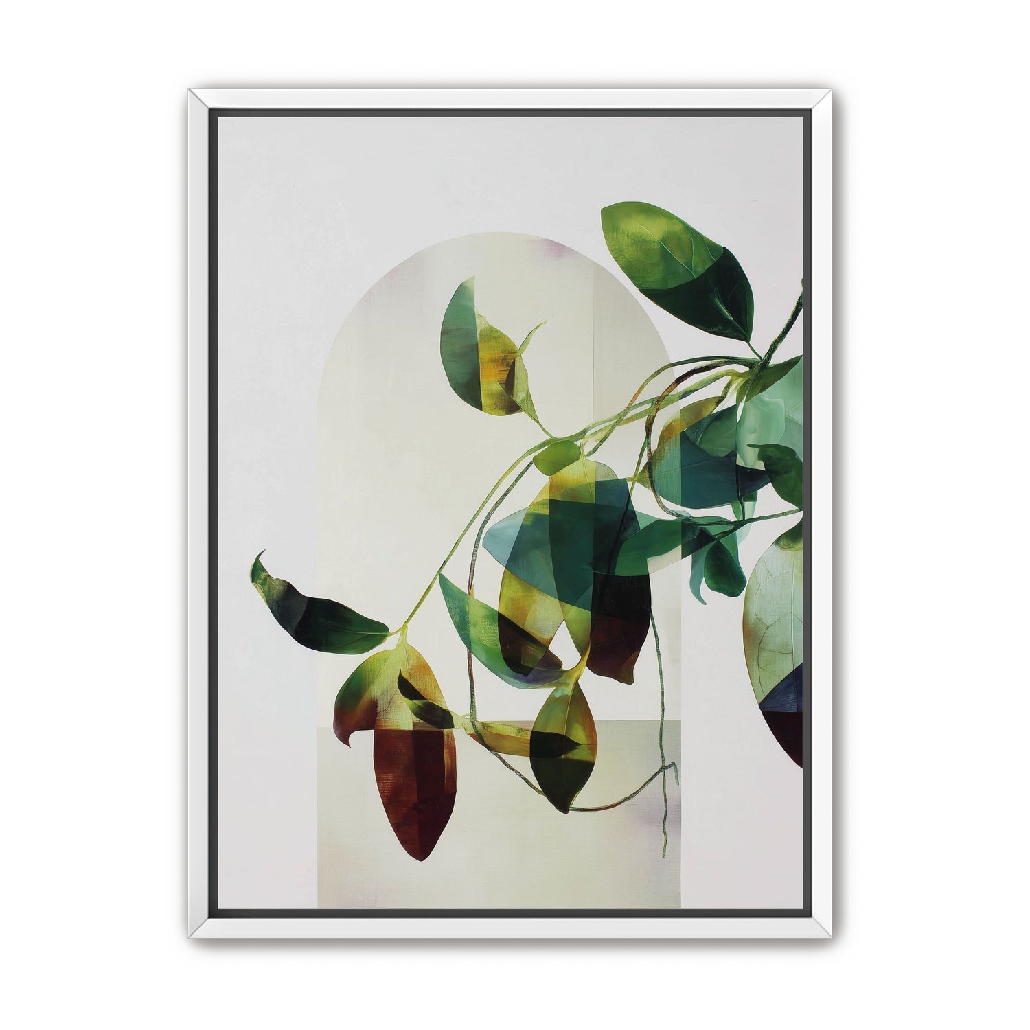 Leaves in a pale halo