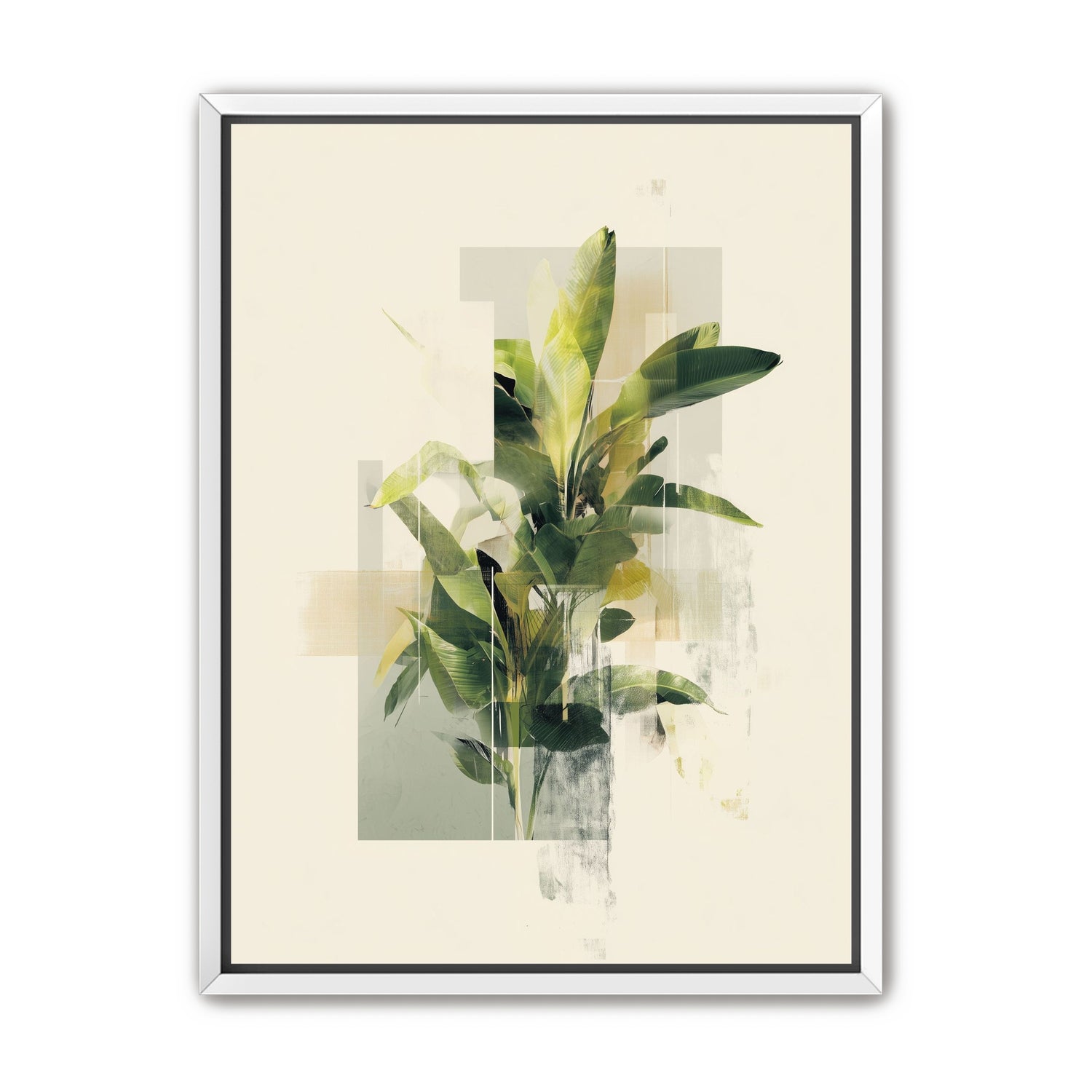 Plant in layered light