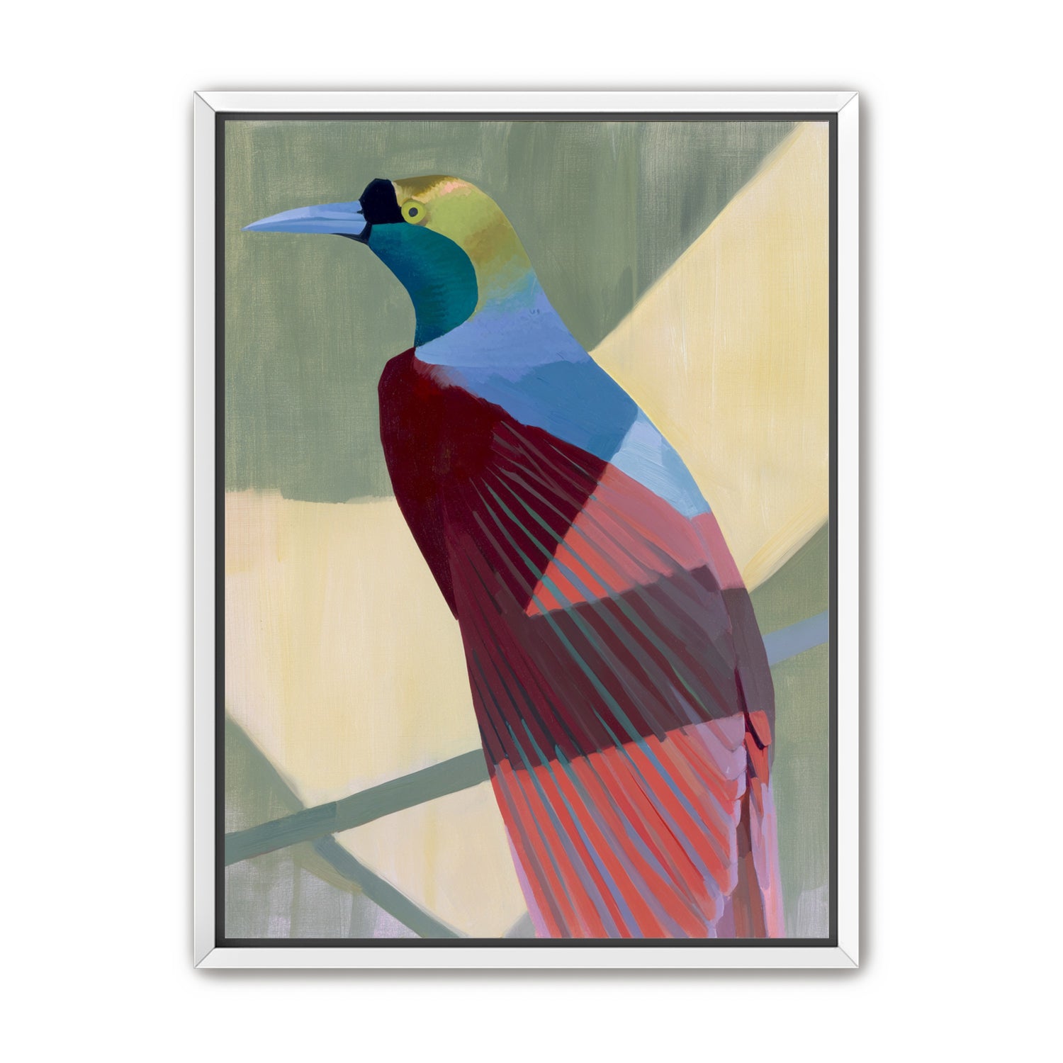 Teal throat on maroon wing