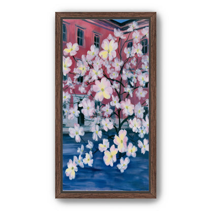 Blossoms across red windows