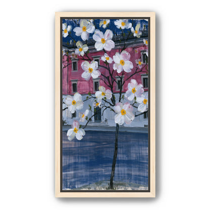 White blossoms over the pink house