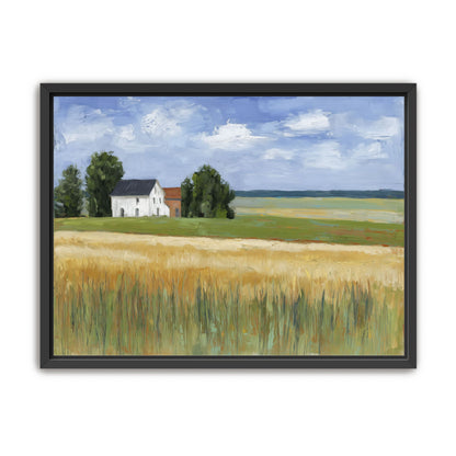 Grain Field Under Sun