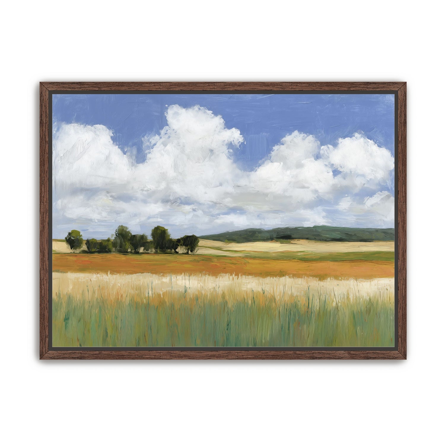 Meadow Under Clouds