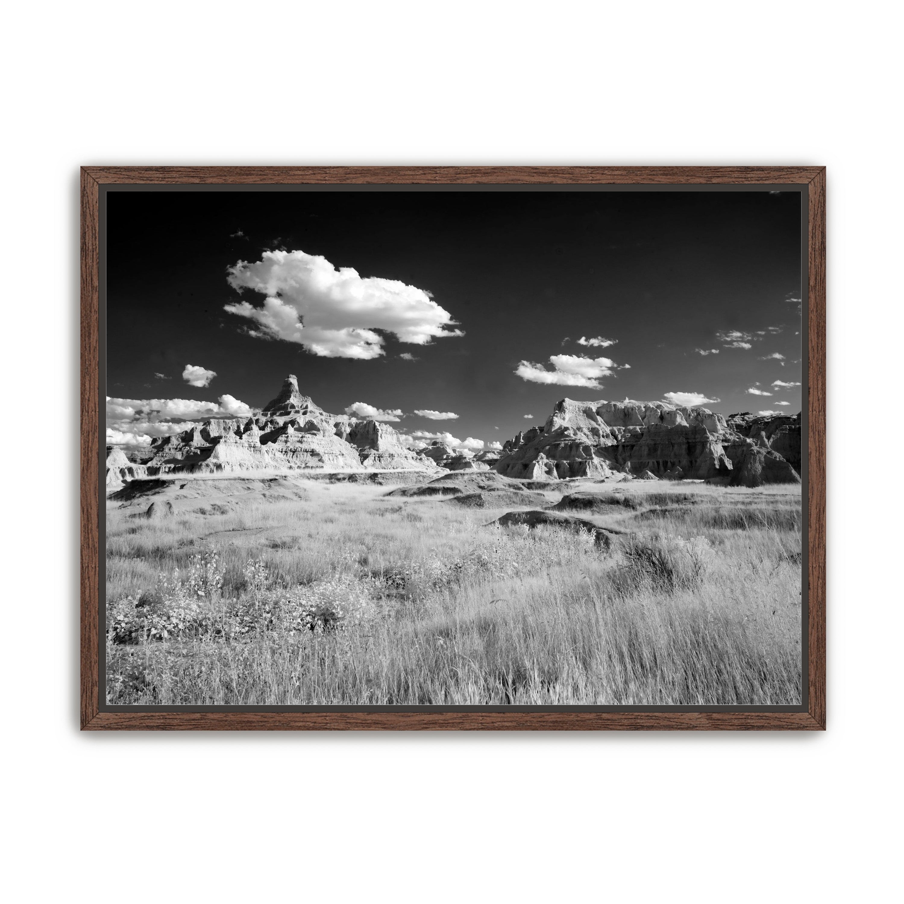 Badlands in Monochrome