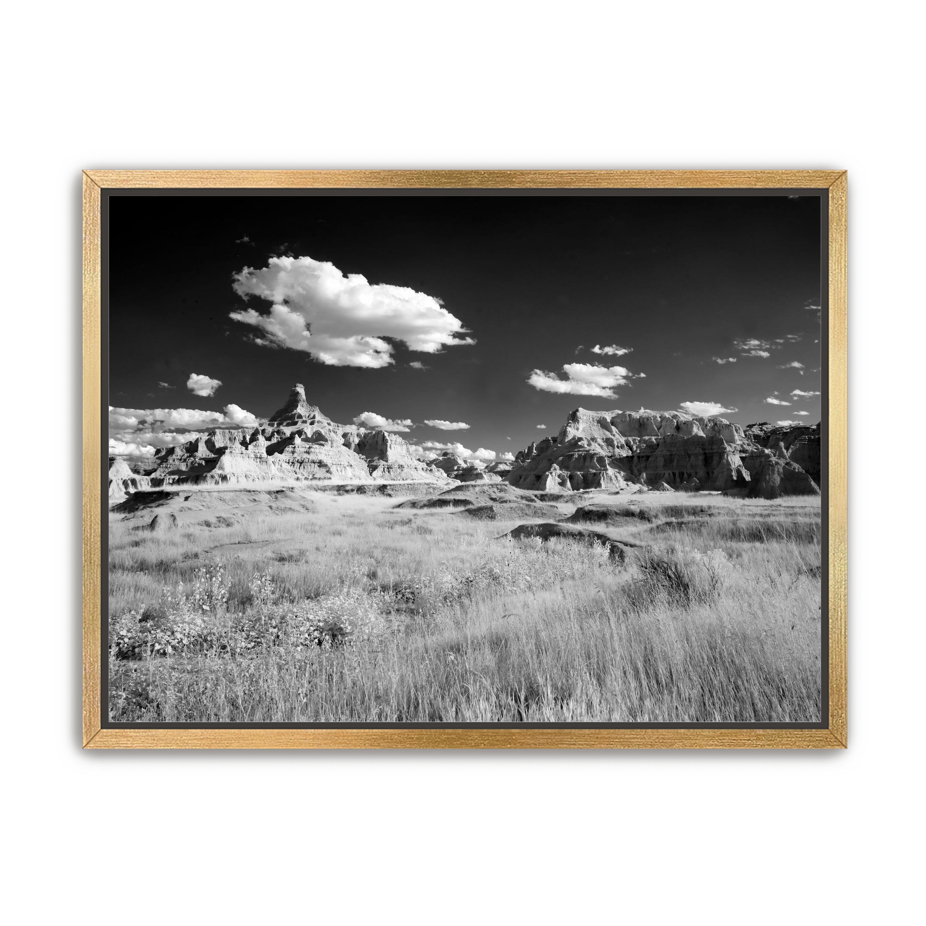 Badlands in Monochrome