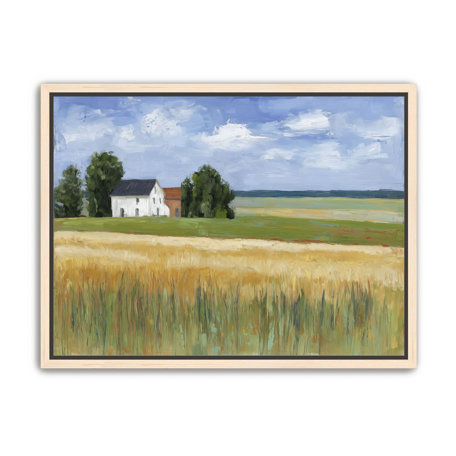 Grain Field Under Sun