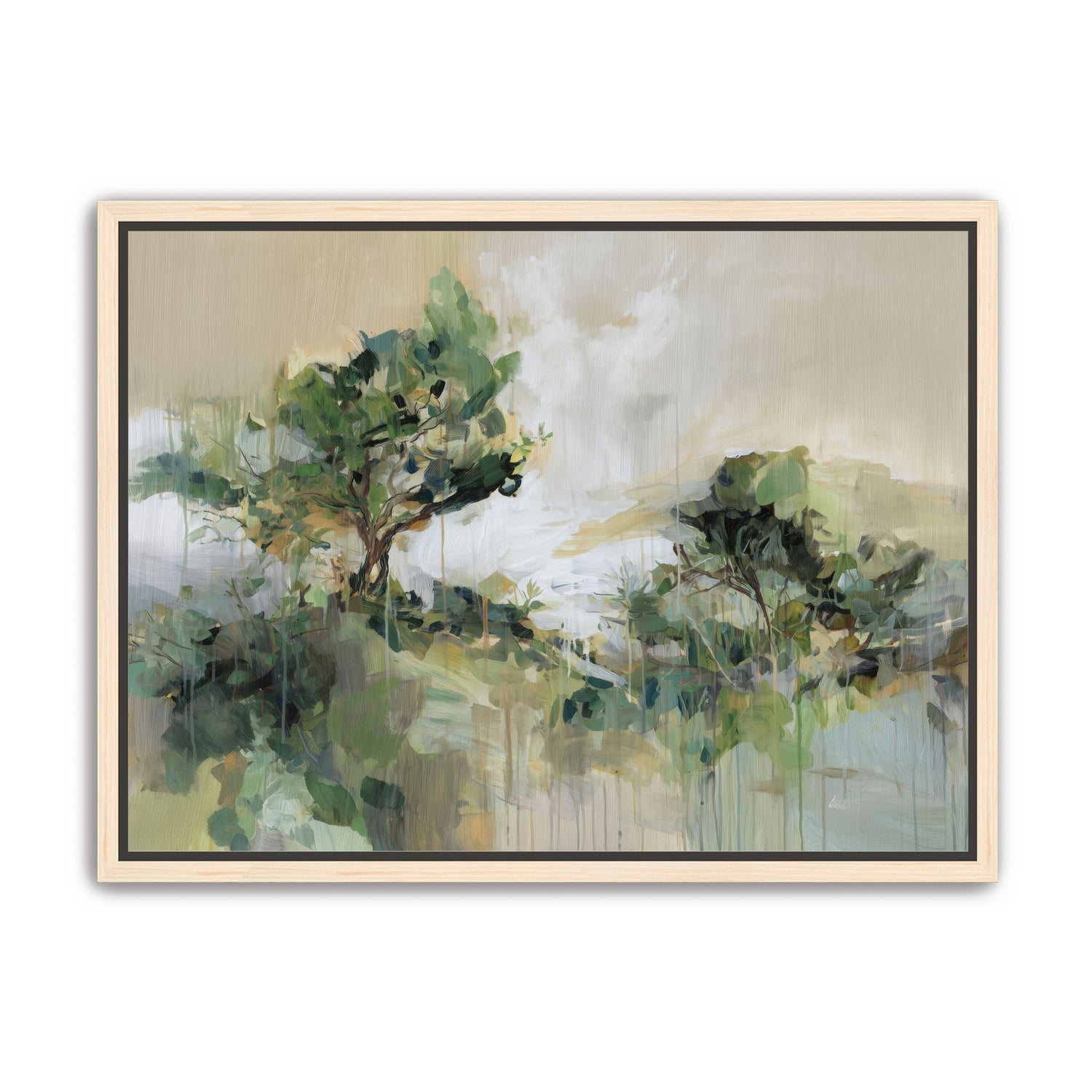 Tree Canopies in Pale Light