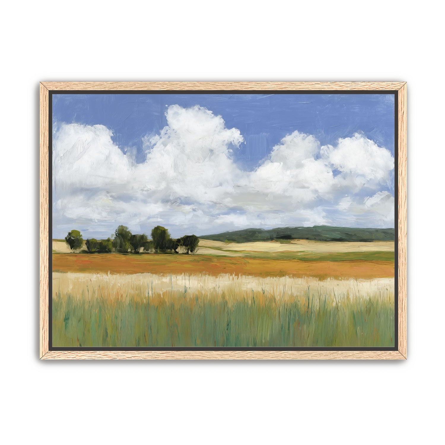 Meadow Under Clouds