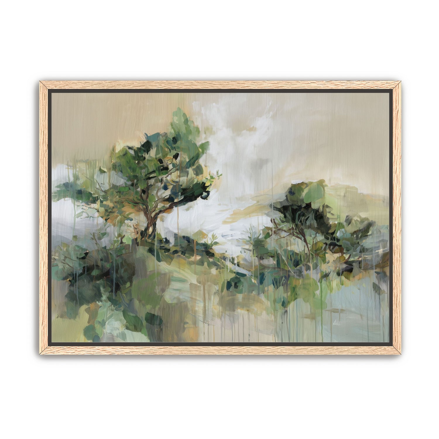 Tree Canopies in Pale Light