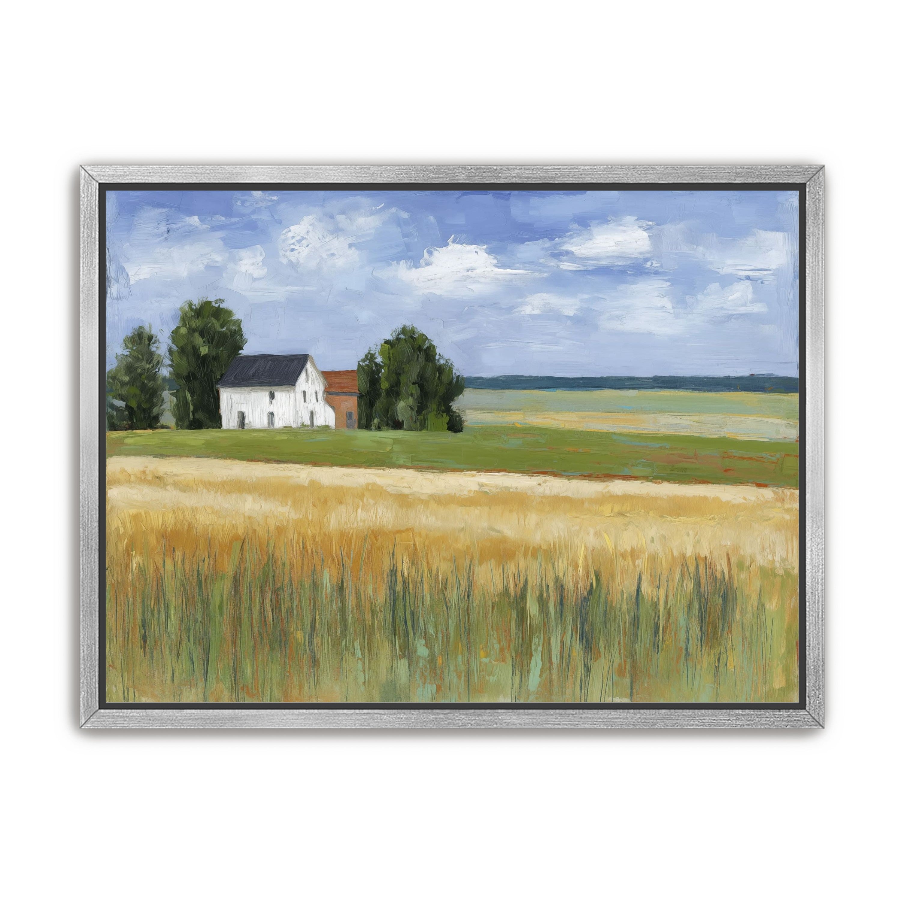 Grain Field Under Sun