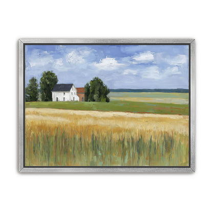 Grain Field Under Sun