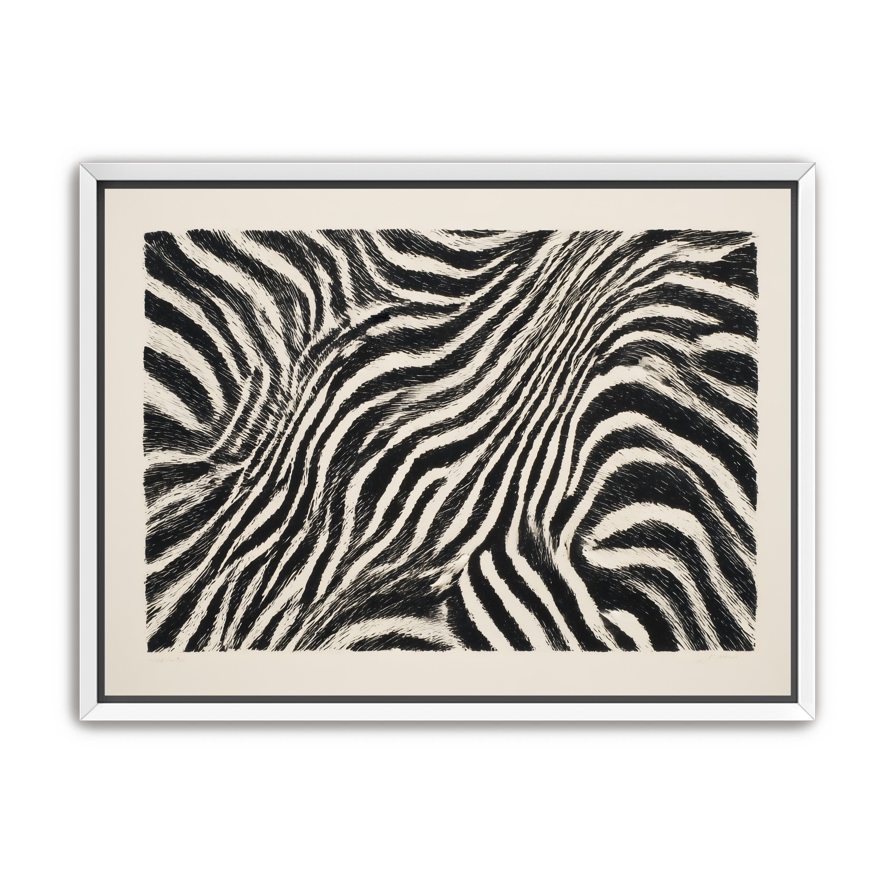 Zebra stripes across the frame