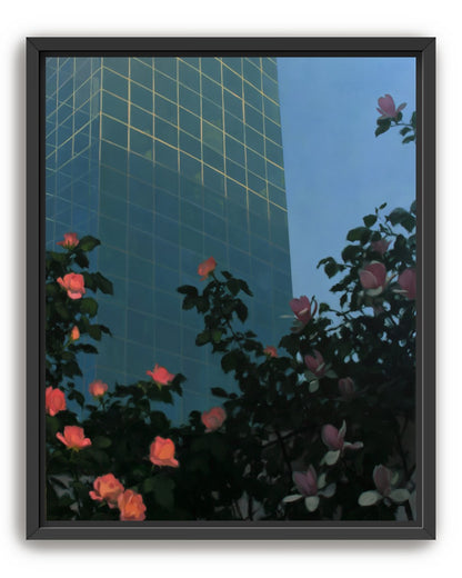 Roses beneath blue towers