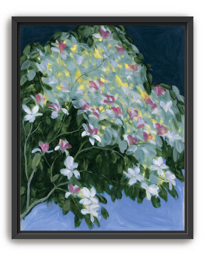 Blossoms across the night sky