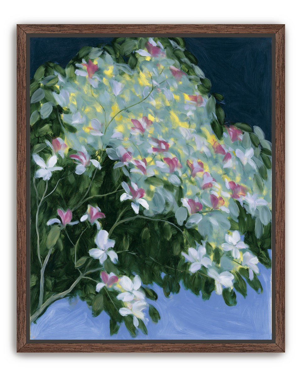 Blossoms across the night sky