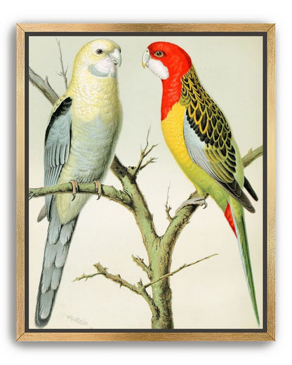 Beaks across the branch