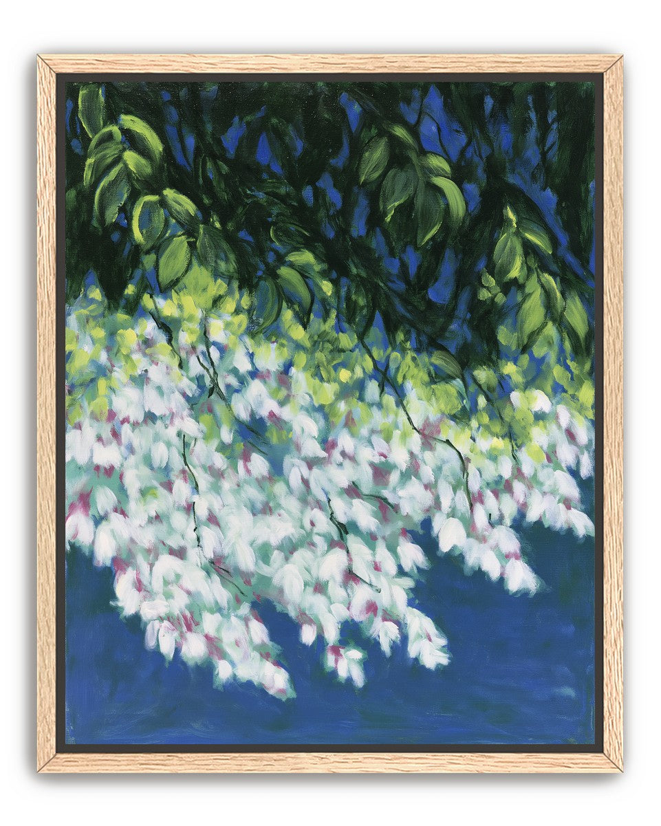 White blossoms in blue shade