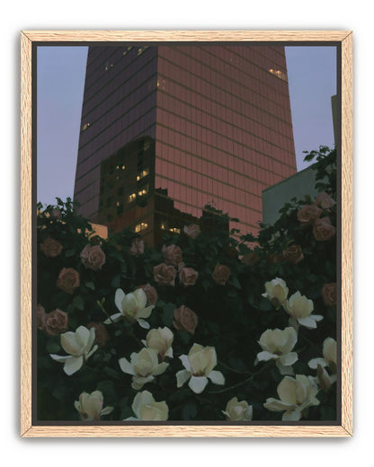 Pink tower above magnolias