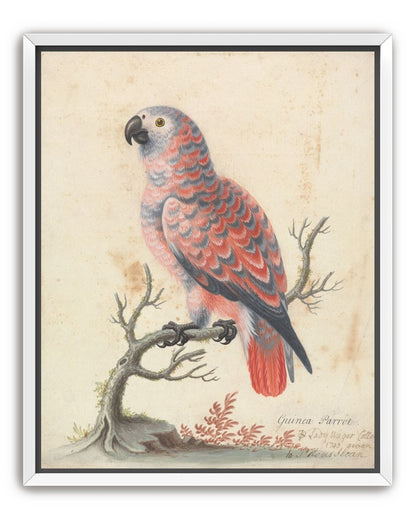 Parrot among bare branches