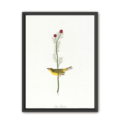 A yellow bird beneath red blooms