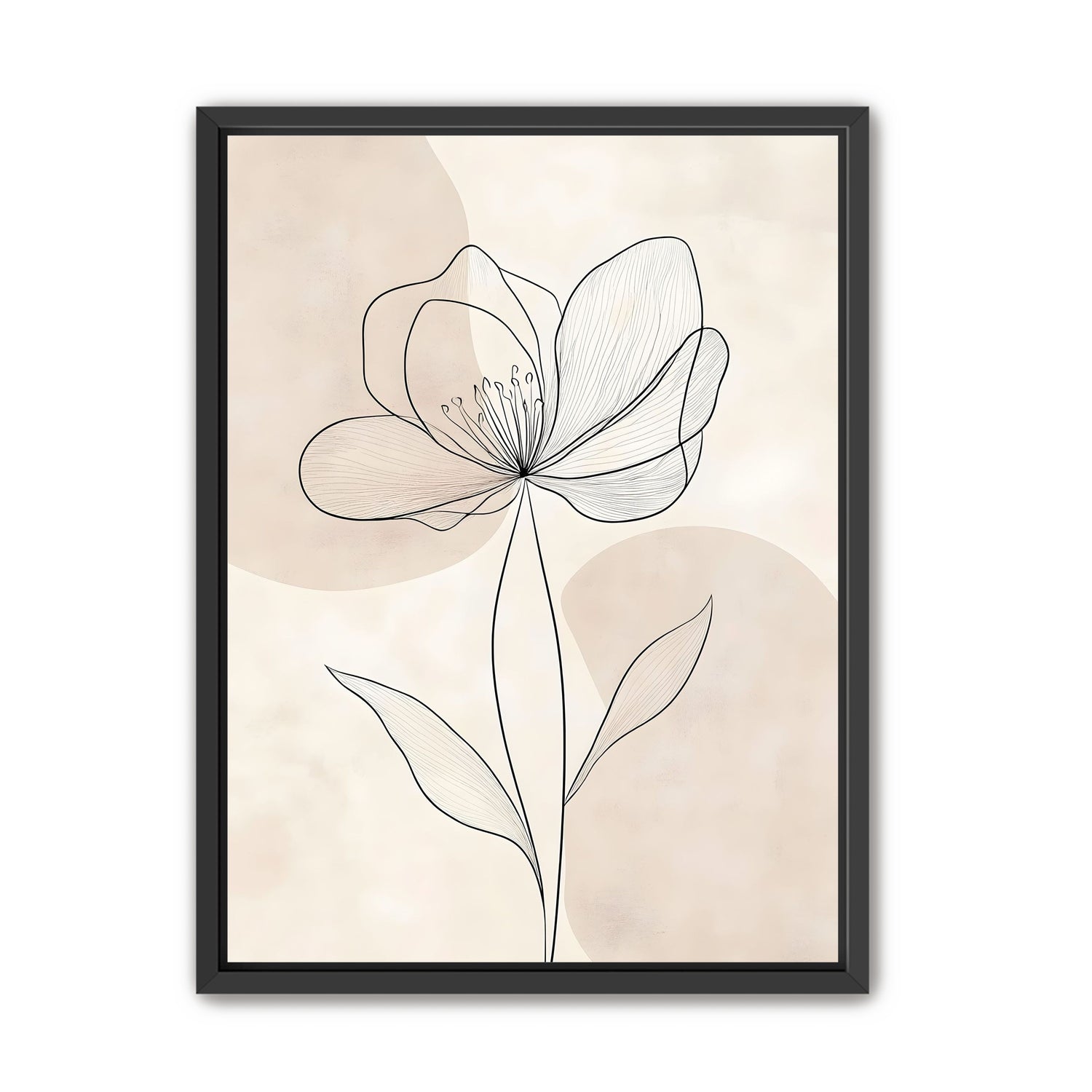 Single Bloom
