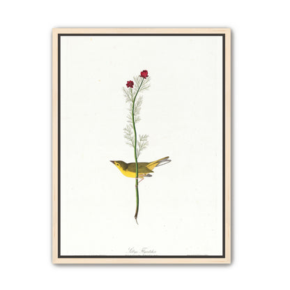 A yellow bird beneath red blooms