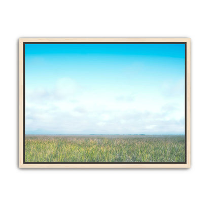 Grasslands