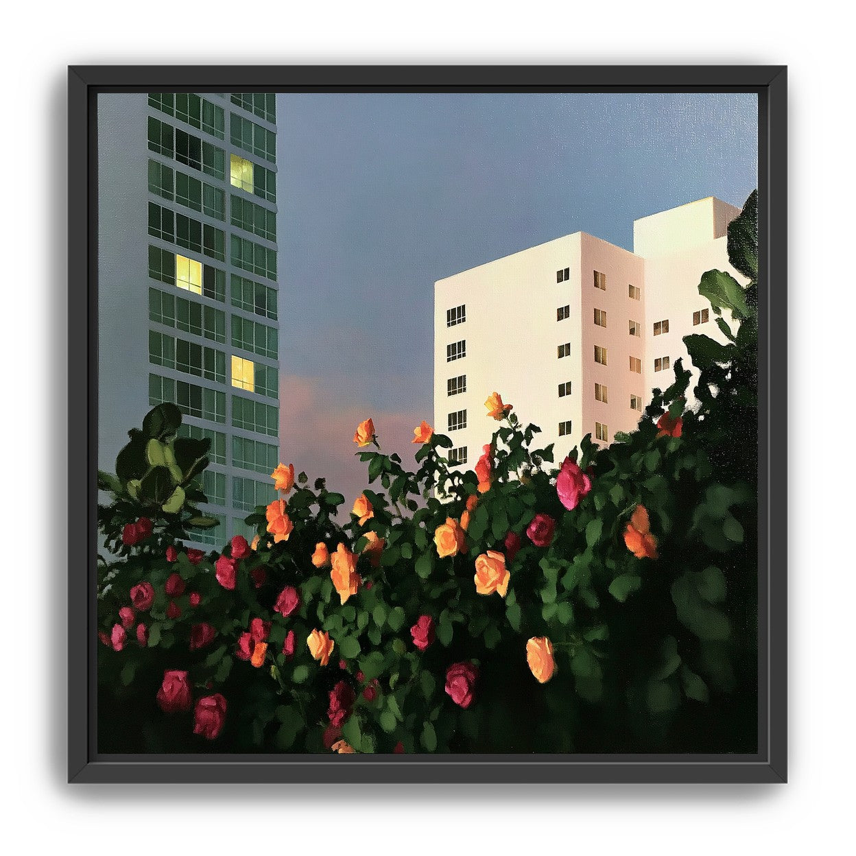 Roses below lit windows