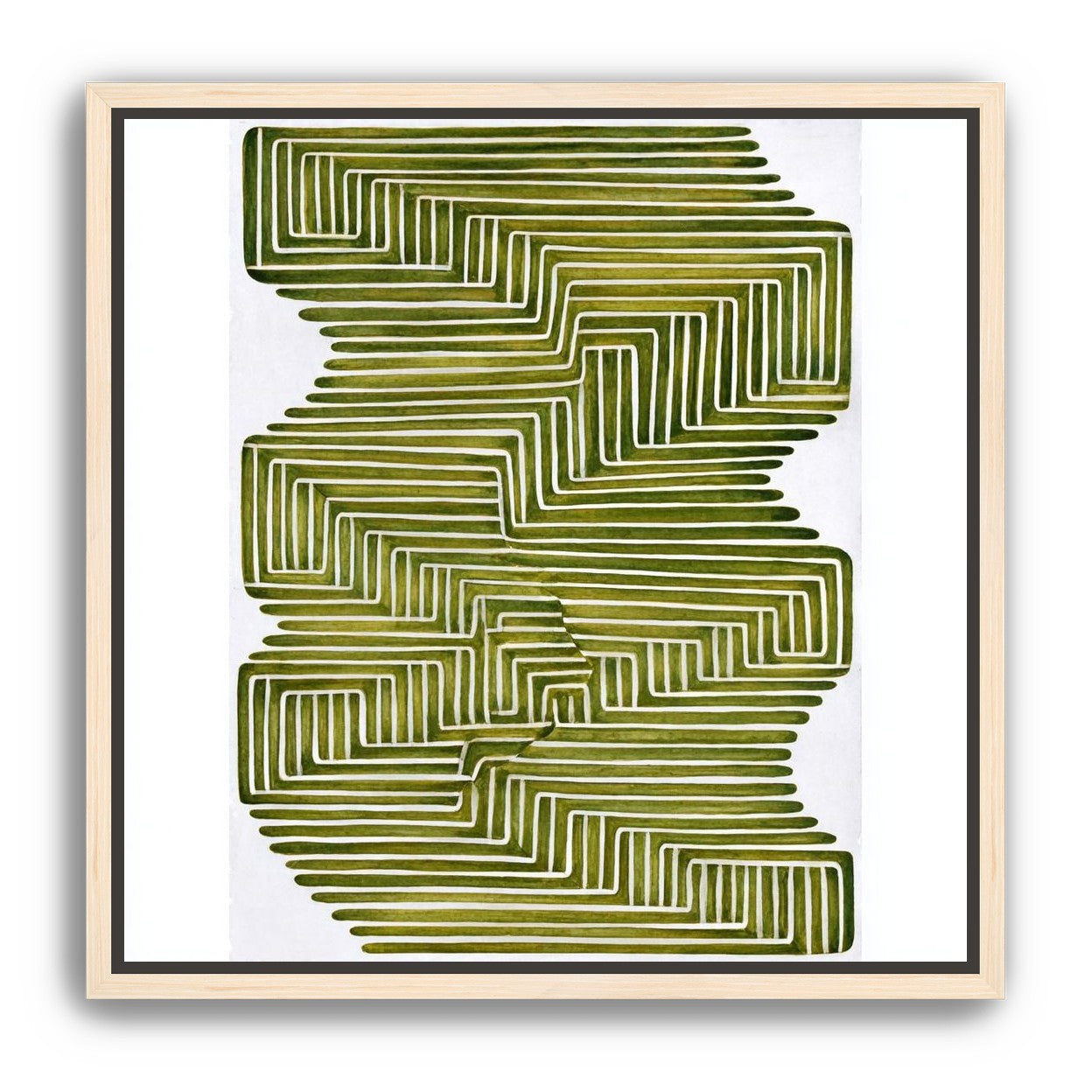 Olive bands in white quiet