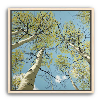 Yellow Leaves Against the Sky