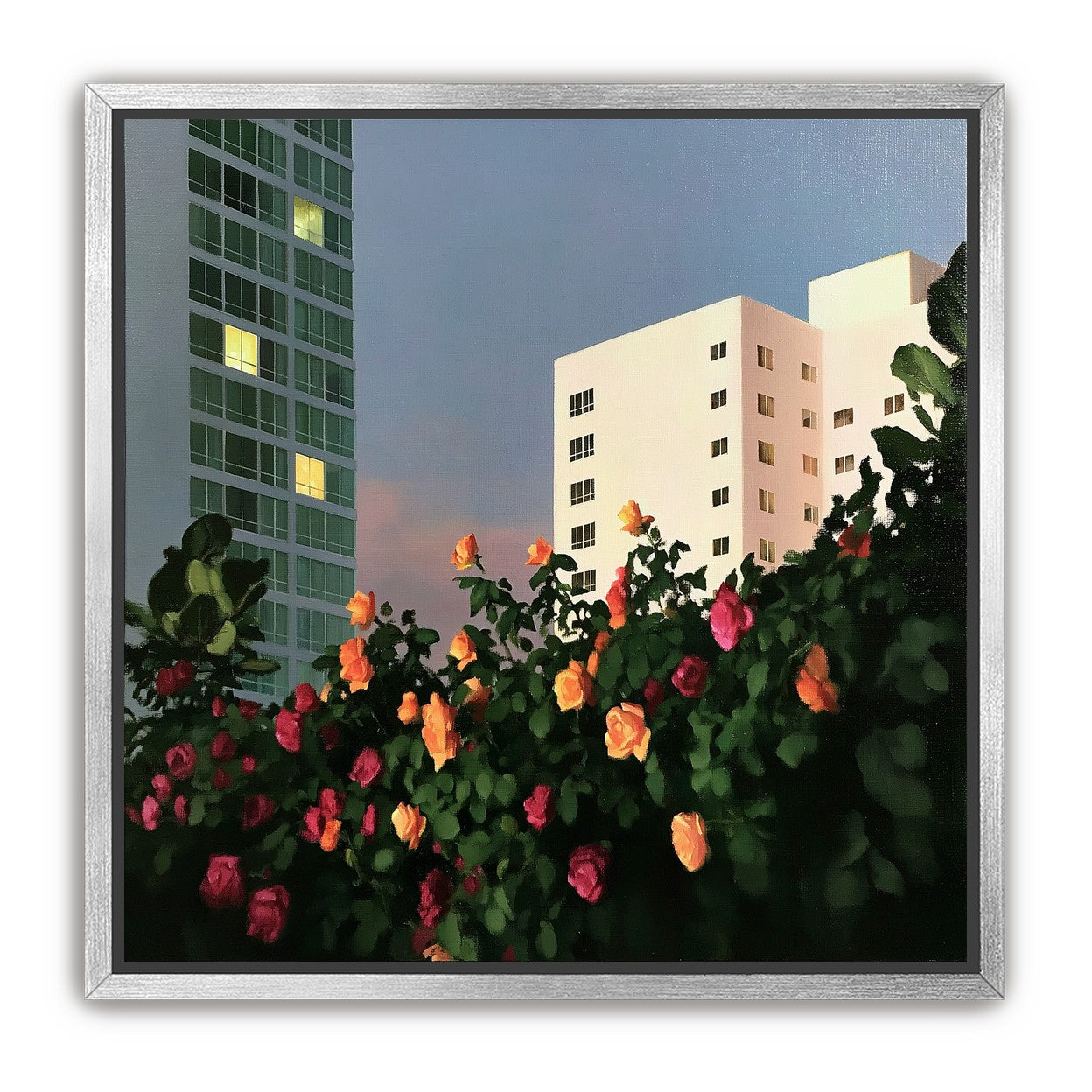 Roses below lit windows
