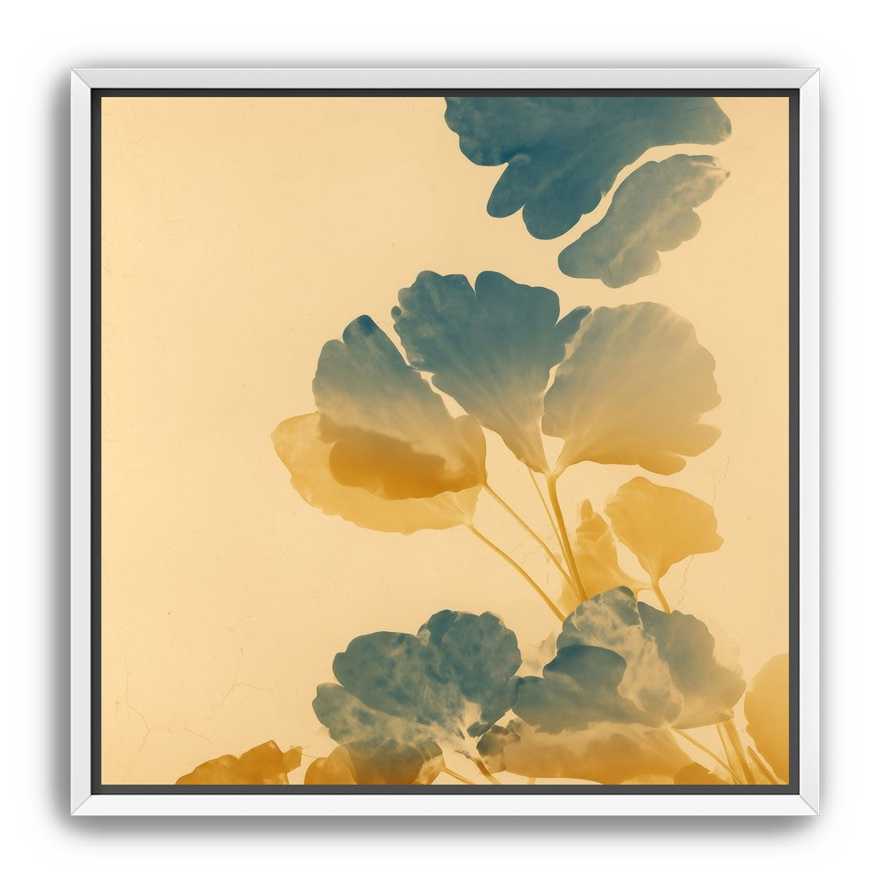 Pressed Matter