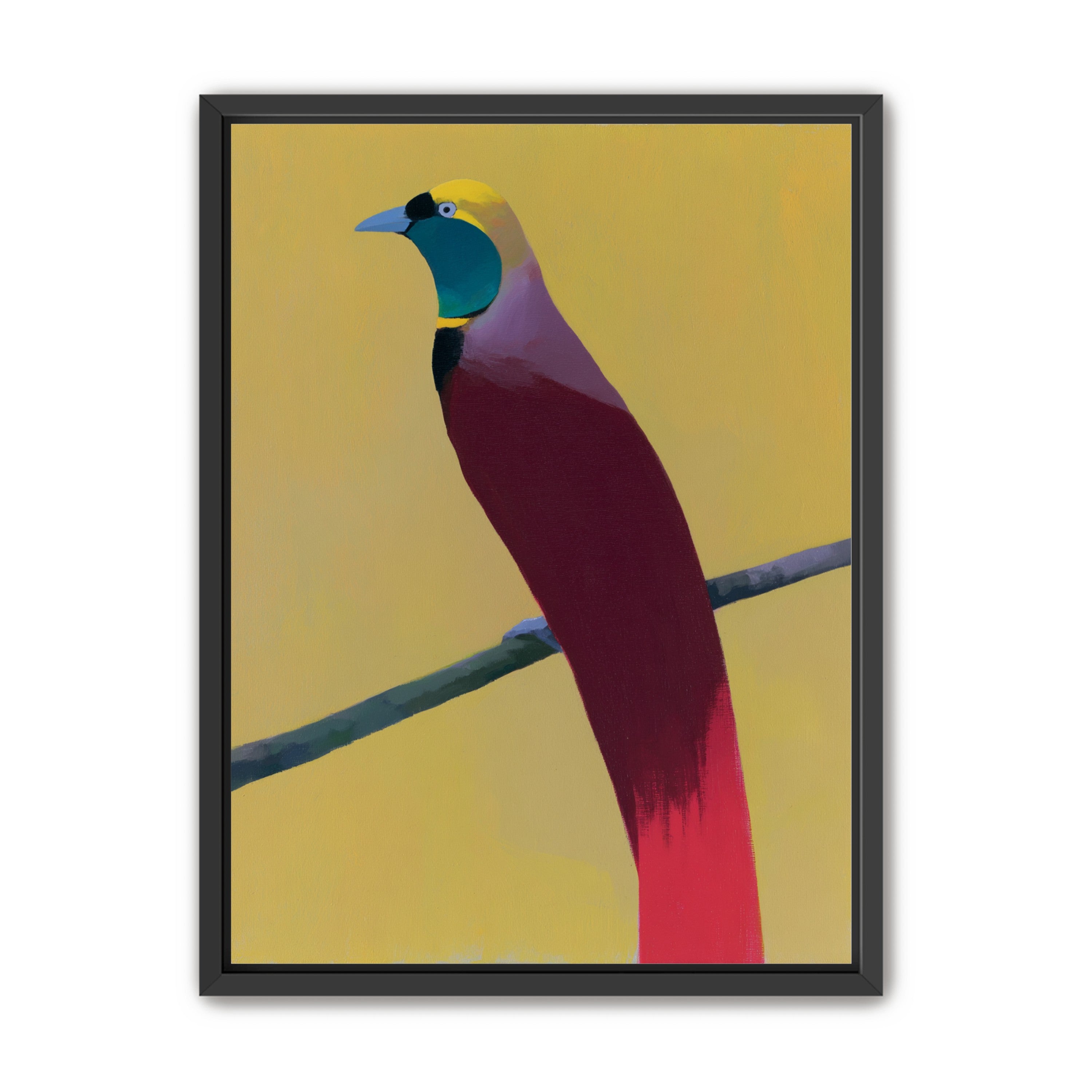 A bright bird on yellow
