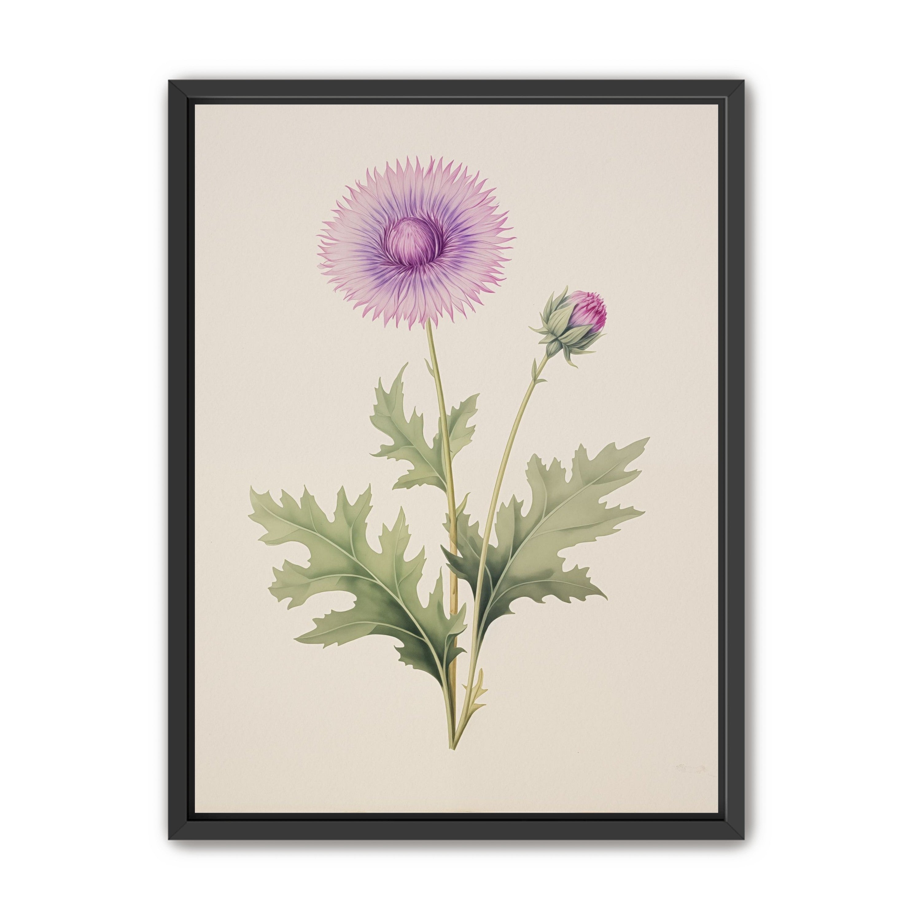 Lavender Radiance
