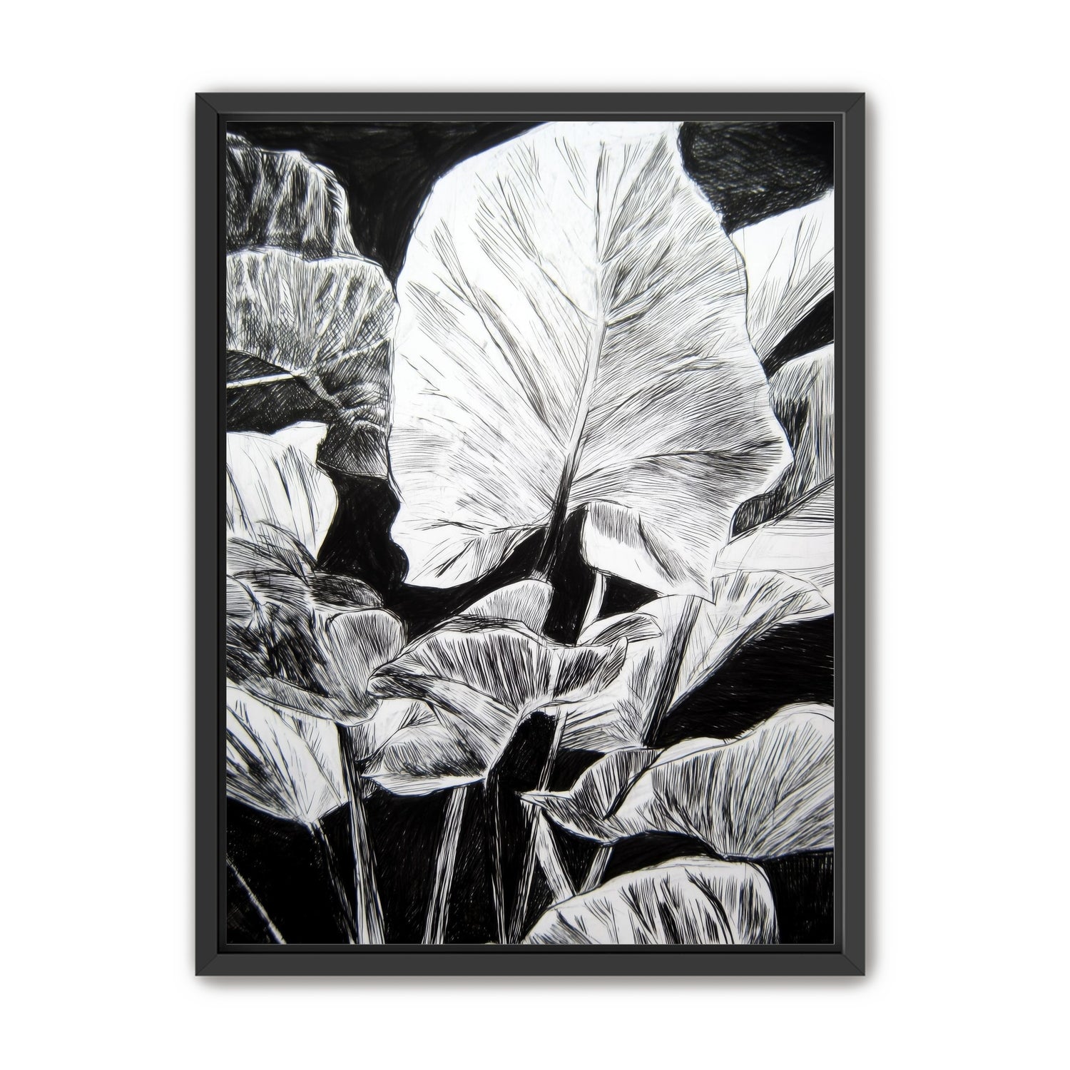 A Cluster of Leaves