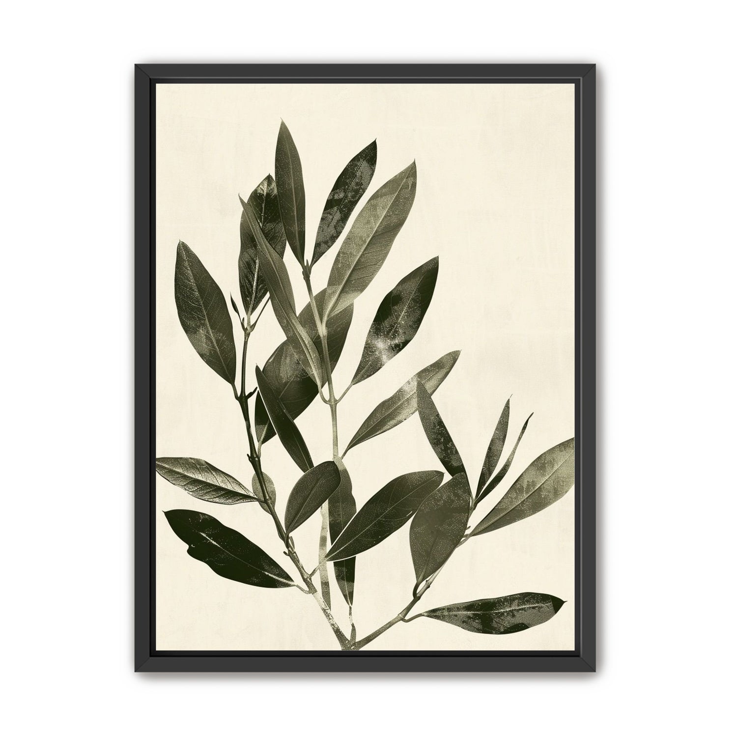 Dark leaves on pale field