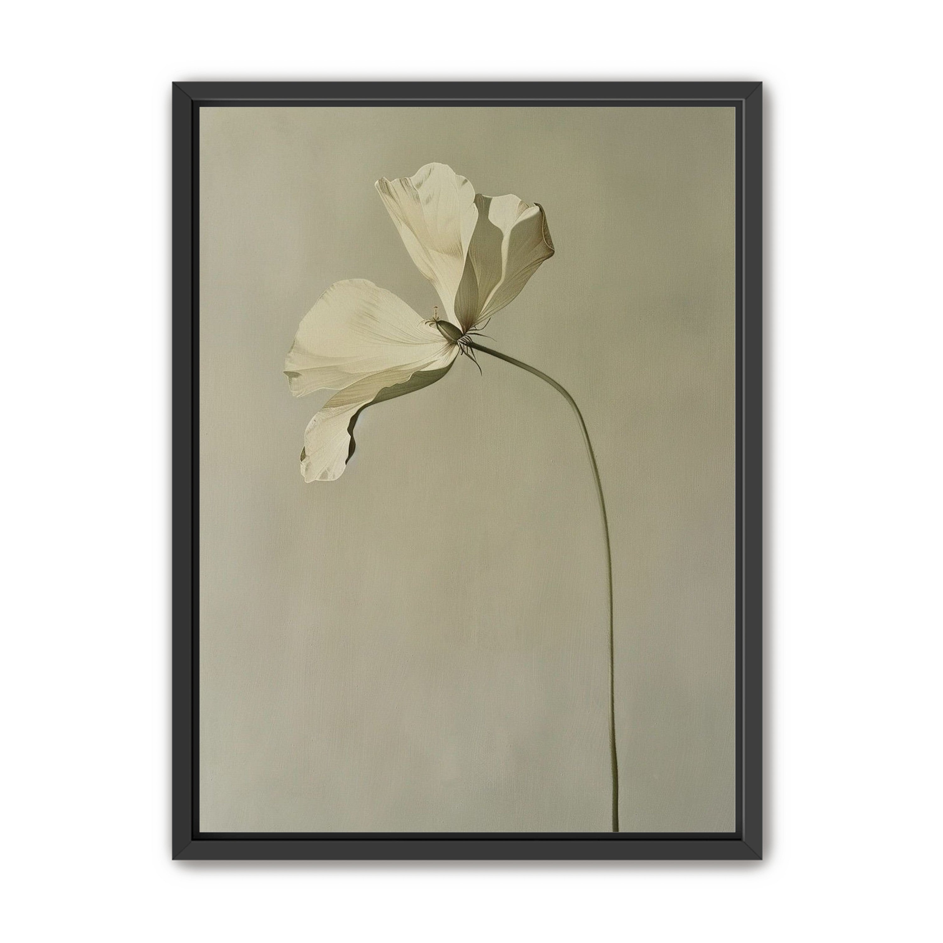 Cream petals in gray green air